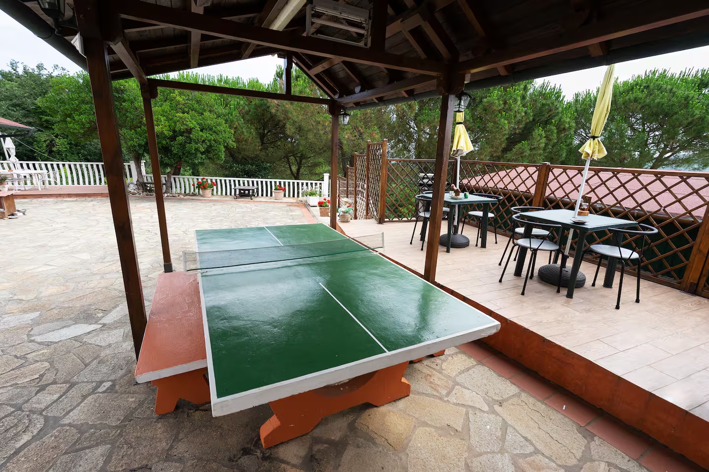 Ping pong