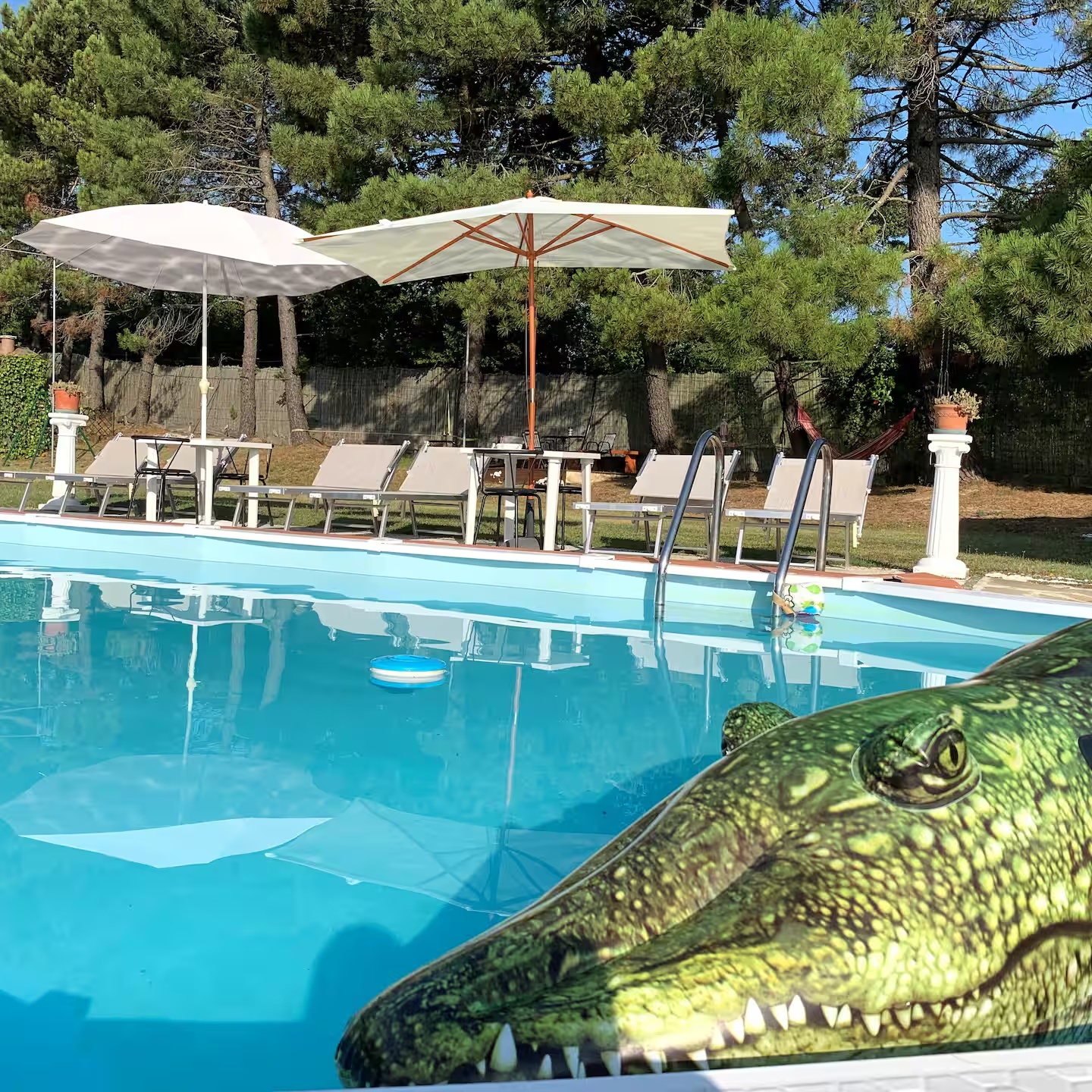 Piscina e relax